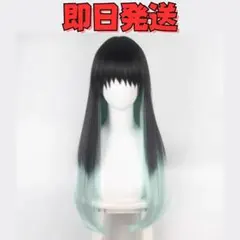 鬼滅の刃 時透無一郎 ウィッグ 現品出品 コスプレウィッグ 鬼滅の刃 時透無一郎