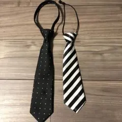 Item thumbnail for item 09233258-0b26-42b9-b3b0-27dcdd344030