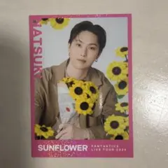 堀夏喜 シクレ トレカ セット - メルカリ