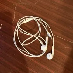 Apple iPhone 純正品 イヤホン ライトニング