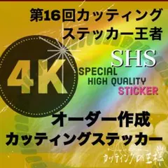 オーダーメイドカッティングステッカー作成　カー　車　専用車