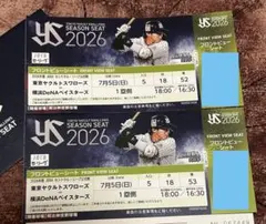 即購入可　東京ヤクルトスワローズ 対横浜DeNAベイスターズペアチケットのサムネイル
