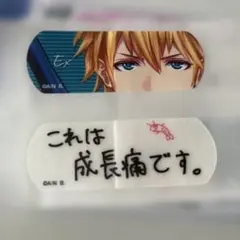 エクス・アルビオ にじさんじ チャームエイド Charm Aid 絆創膏