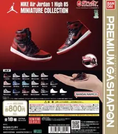 NIKE Air Jordan 1 High 85 ミニチュアコレクション