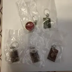 仮面ライダー　めじるしアクセサリー 2 【4種5点セット】