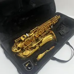 Addie アルトサックス 本体 ケース付き ほぼ新品 Addie アルトサックス 本体 ケース付き ほぼ新品 - メルカリ