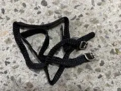 Item thumbnail for item 0ba45599-5ae1-4dc1-996a-5c0a00da11af