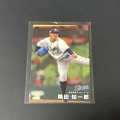 2008プロ野球チップス 埼玉西武ライオンズ 石井義人カード - メルカリ