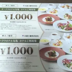 大倉工業 株主優待券 ホテルご利用券 2,000円分