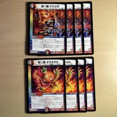 2470 第1種アクミM 第ニ種タマネギル