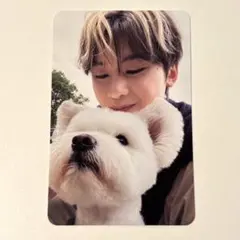 ゼベワン　メテュ　マシュー　トレカ　レオ