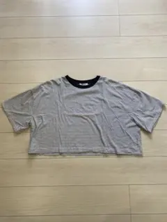 Item thumbnail for item 4975b2ef-e5e4-46e6-a567-5a9b7535fb4b