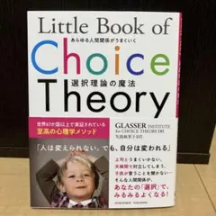Little Book of Choice Theory