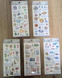 大人の図鑑シール　3Dビジュアルコレクション　5種