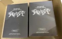 ald1 少年BEAST CD アルバム　新品未開封　2個セット