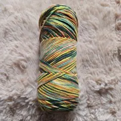 り*こ様 【新品未使用】マルチカラー　毛糸　100g