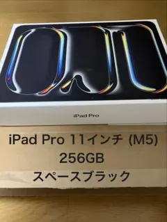 11インチiPad Pro（M5）Wi-Fi 256GB スペースブラック