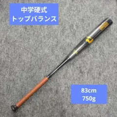 超希少】オリックス宗佑磨選手支給品NPBバット(ネームなし