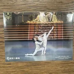슬리핑 뷰티 스테이지 사진 2021