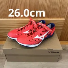 CHRONO INX NEO / MIZUNO クロノインクスネオ