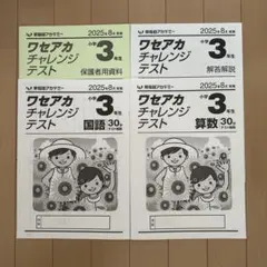早稲田アカデミー　ワセアカチャレンジテスト　小3 2025年8月のサムネイル
