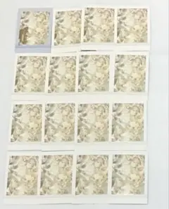 ぽ*き様 プロセカ ぱしゃこれ 7B 望月穂波　箔押し　16点