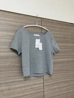 アルシーヴ　ネームテレコTee 未使用　新品　グレー　ショート丈　Tシャツのサムネイル