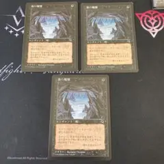MTG 夜の戦慄　テンペスト　日本語　3枚