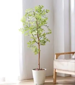 125cmフェイクグリーン 人工観葉植物 鉢植えのサムネイル