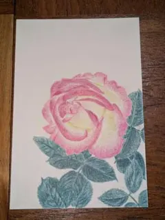 バラの色鉛筆画 絵ハガキサイズ