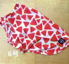 VERY 犬服　COOL WEAR タンクトップ　メッシュ　スイカ柄　6号のサムネイル