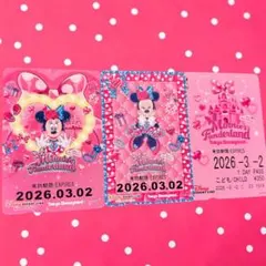 ディズニー ファンダーランド ミニーマウス リゾートライン