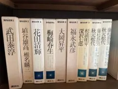 ☆ 長野県文学全集 1-10巻 /郷土出版社 泉鏡花、前田青邨、幸田露伴 