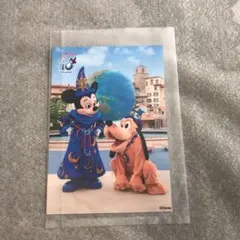 ディズニー スペシャルフォト　10周年　年パス限定　ミッキー  プルート