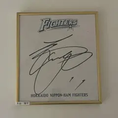 本物証明書 大谷翔平 直筆サイン 日本ハム ルーキーサイン 色紙 写真付