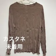 Item thumbnail for item 29452356-8b1c-461c-9801-9d64bdbd9cda