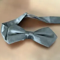 Item thumbnail for item 5340a623-739d-4e1c-b464-301c01e361af