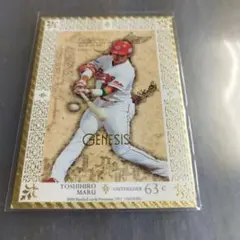 Item thumbnail for item 5d1f0813-a05f-48ec-af0f-113455368985