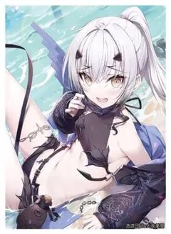 2026年最新】fgo スリーブ メリュジーヌの人気アイテム - メルカリ