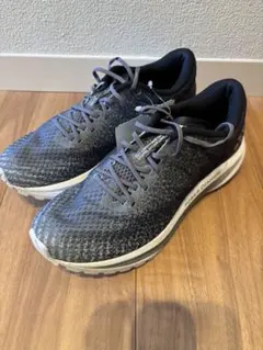 貴重】‼️限定特価‼️ASICS RoadHawk/FF2 WN - メルカリ