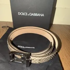✨SALE✨希少dolce&gabbana D&Gベルト　パイソン　箱付き 2026年最新】ドルガバ パイソン ベルトの人気アイテム - メルカリ