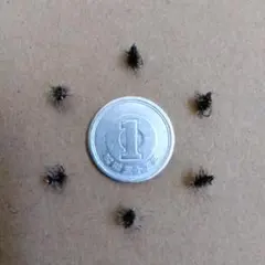 Item thumbnail for item 0063e687-a607-4830-a5a3-e2d3a975827b