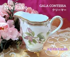 ノリタケ ガラ　コンテッサ　 21㎝　GALA CONTESSA プレート6枚 ノリタケ ガラコンテッサ 21㎝GALA CONTESSA プレート6枚