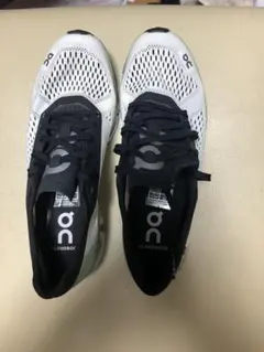 Item thumbnail for item d23402c4-edb1-4b04-83a5-f328dcdebca7