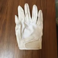 ミズノプロの守備用手袋 右手