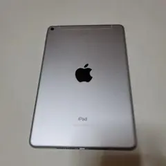 Apple iPad mini 第5世代 シルバー 本体