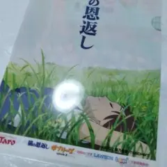 猫の恩返し ギブリーズ クリアファイル ジブリ 宮崎駿 2002 猫乃手堂