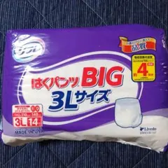 Item thumbnail for item ac856959-52d3-47c8-ae5f-b2e35000c813