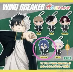 WIND BREAKER 杉下京太郎