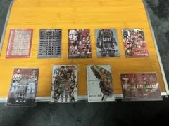 RIZINポテトスティック　カード